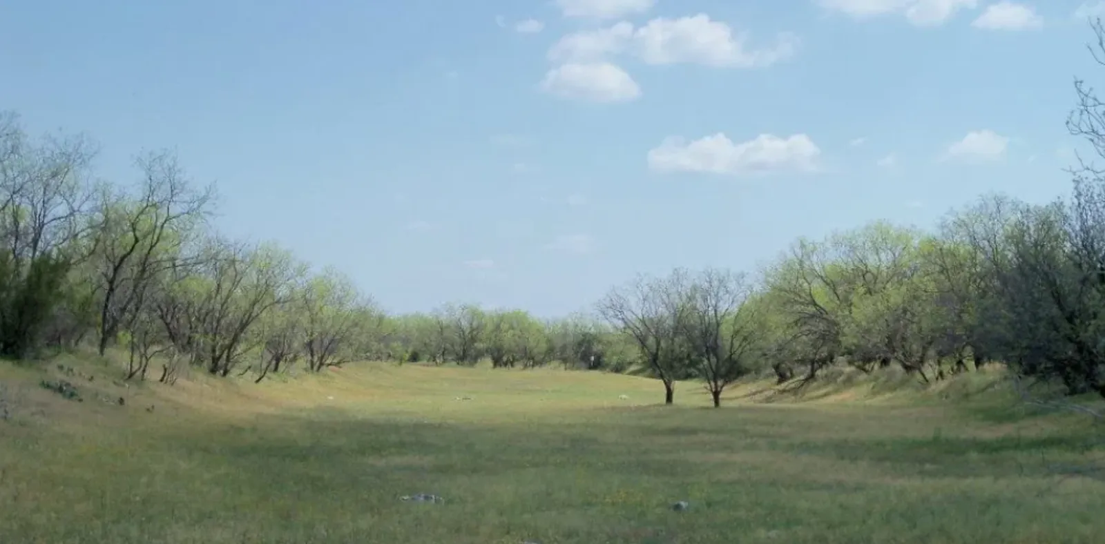 DIY Dove Hunts at Sierra Blanca Ranch — photo 1
