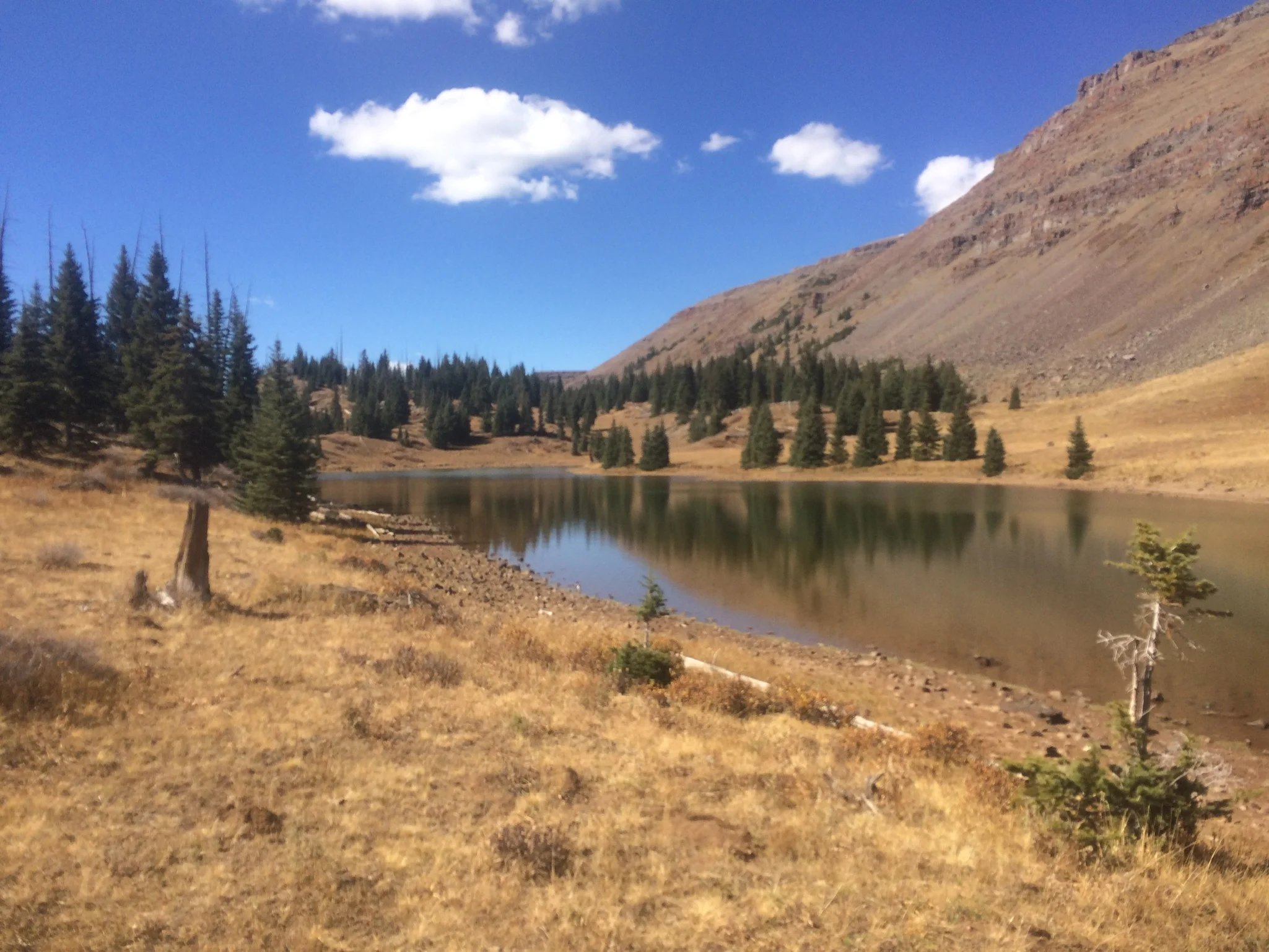High Country Fly Fishing (FTWG)