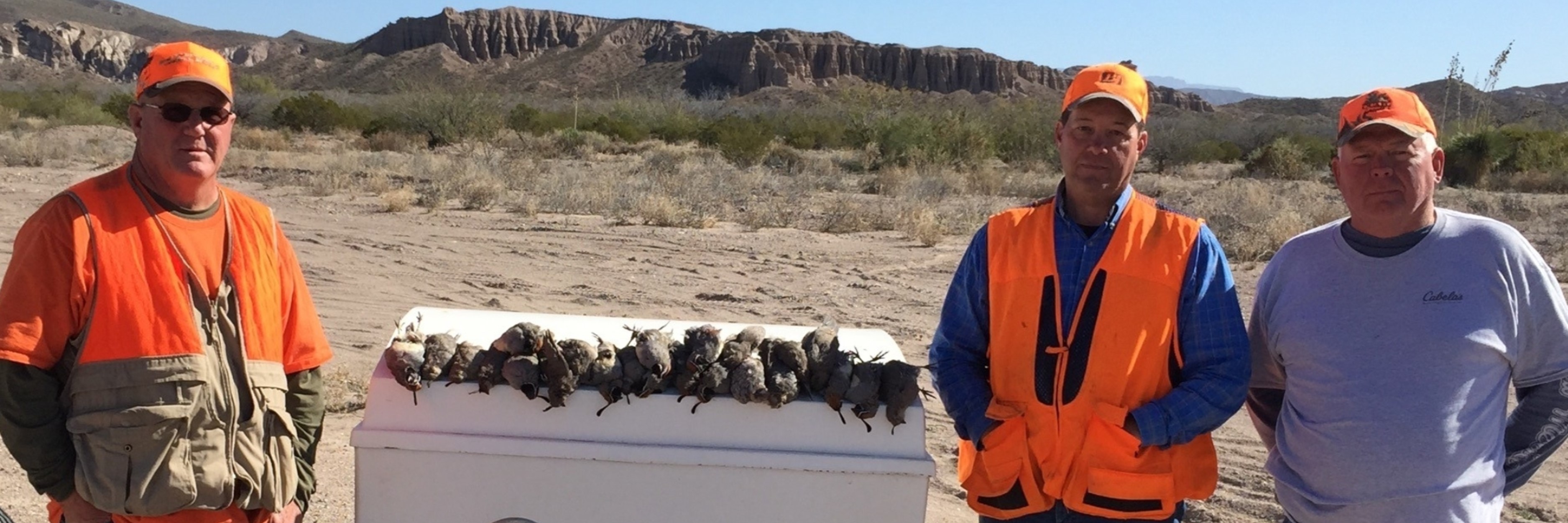 96 Ranch Quail Hunt
