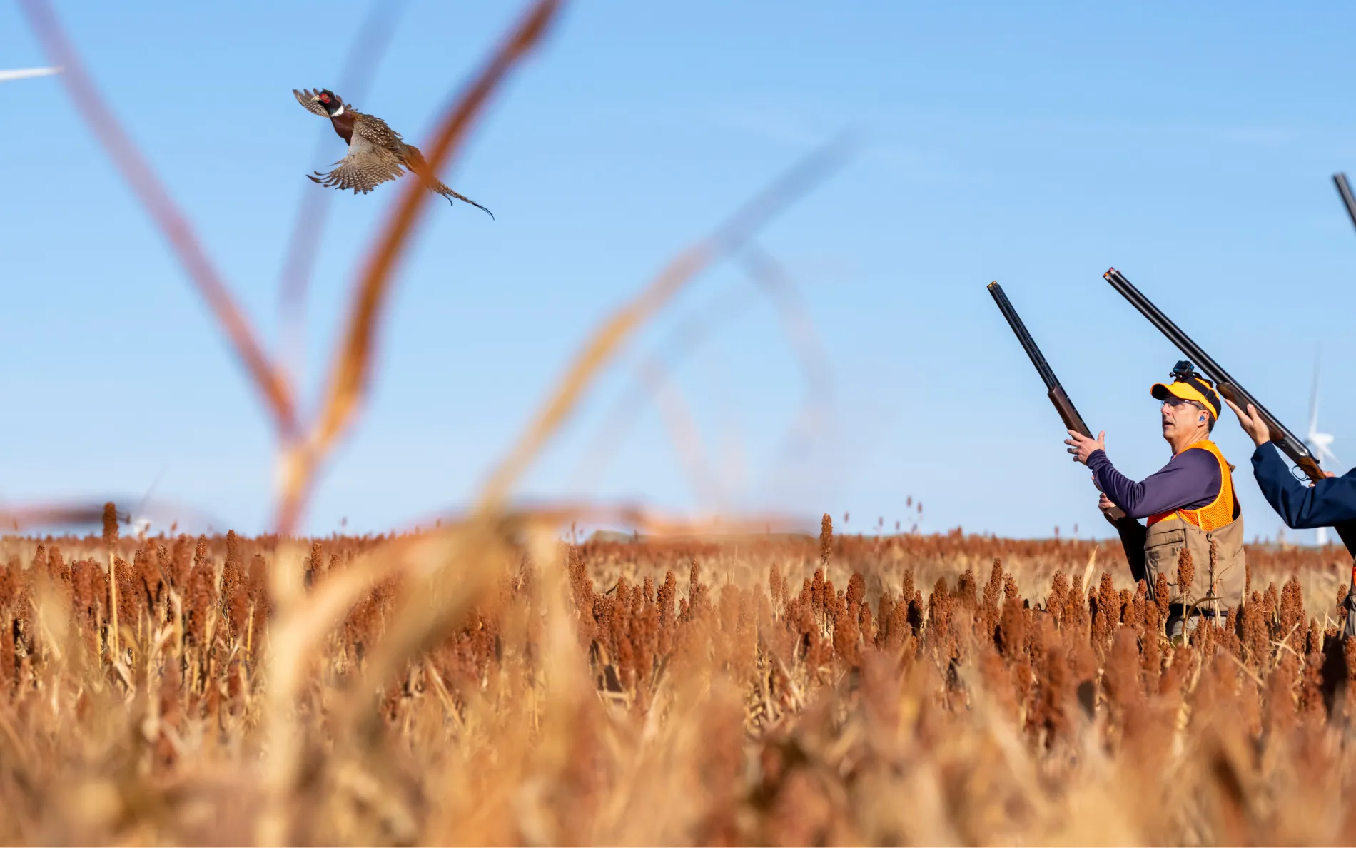 South Dakota Pheasant Hunts — 4 Days / 5 Nights